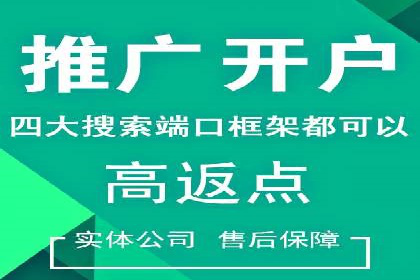 SEM推广案例：快速提升关键词排名
